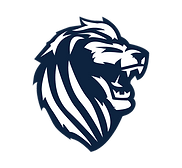 LION HEAD ONE COLOR PMS 289.png
